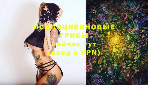 сатива Абдулино