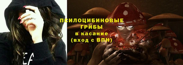 молекула духа Абинск