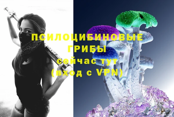 дурь Абаза