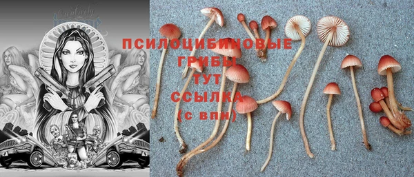 сатива Абдулино