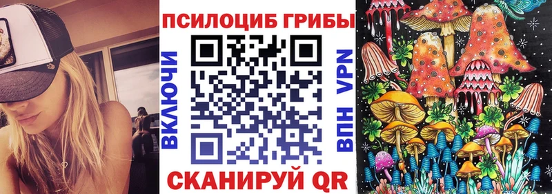 где купить наркоту Тюкалинск Псилоцибиновые грибы мухоморы